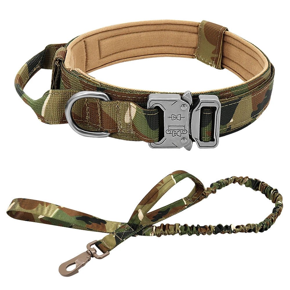 Laisse Collier pour chien | MilitaryDog - Bob et Compagnie