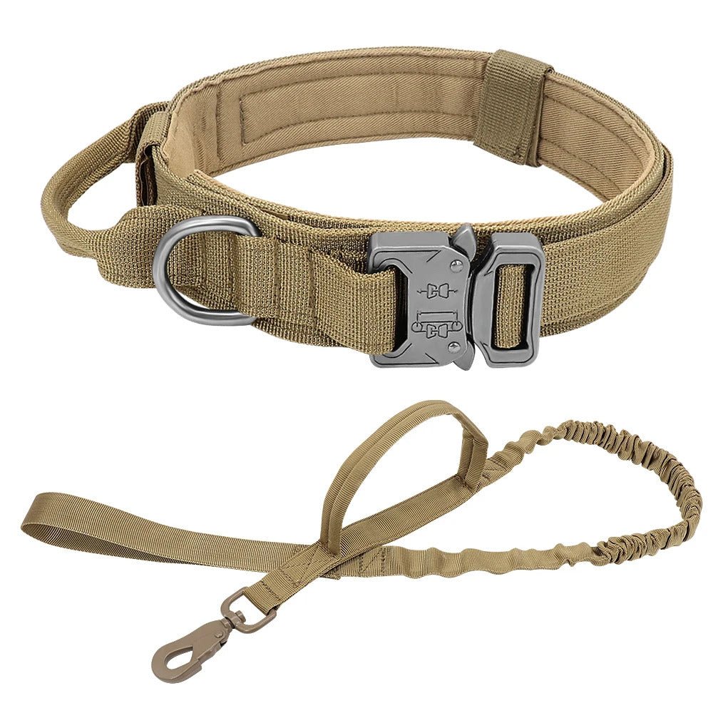 Laisse Collier pour chien | MilitaryDog - Bob et Compagnie