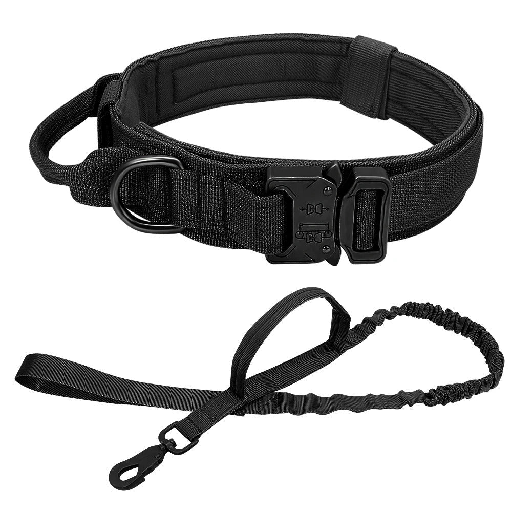 Laisse Collier pour chien | MilitaryDog - Bob et Compagnie