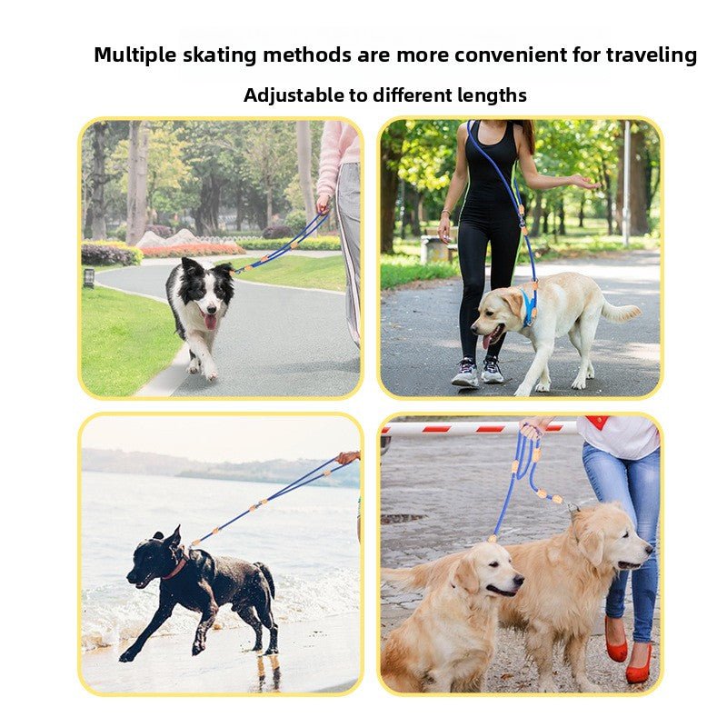 Laisse Multifonction pour chien | MDog+ - Bob et Compagnie