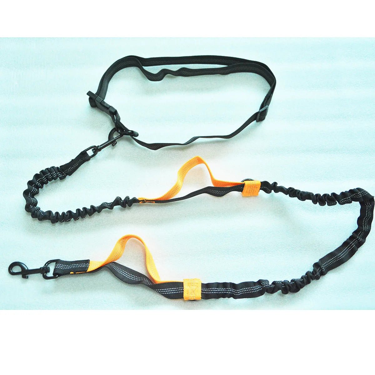 Laisse pour chien canicross | Canidog - Bob et Compagnie