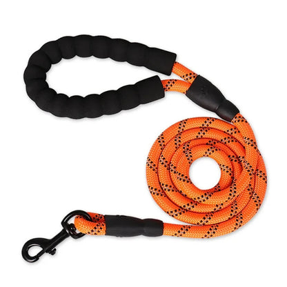 laisse chien poignet orange