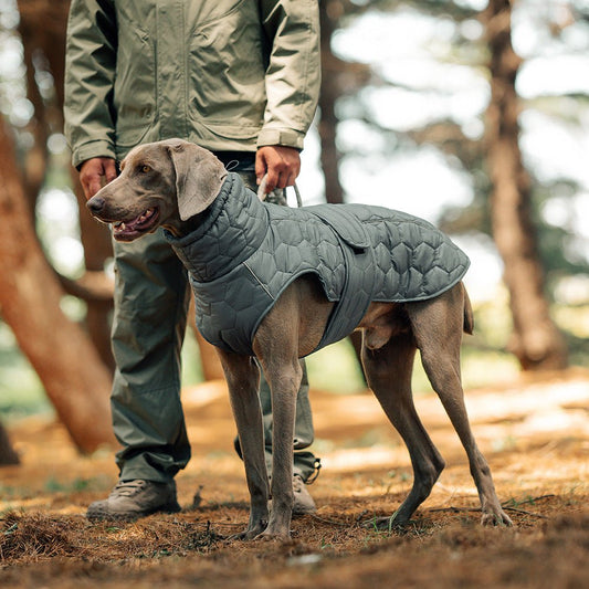 Manteau hiver chien de chasse - Bob et Compagnie