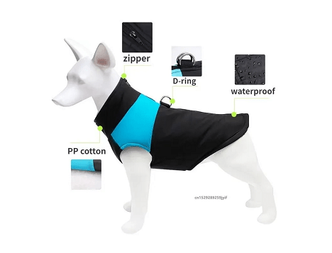 Manteau imperméable pour chien | ToutouSec - Bob et Compagnie