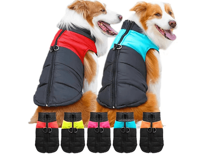Manteau imperméable pour chien | ToutouSec - Bob et Compagnie