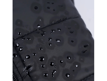 Manteau imperméable pour chien | ToutouSec - Bob et Compagnie