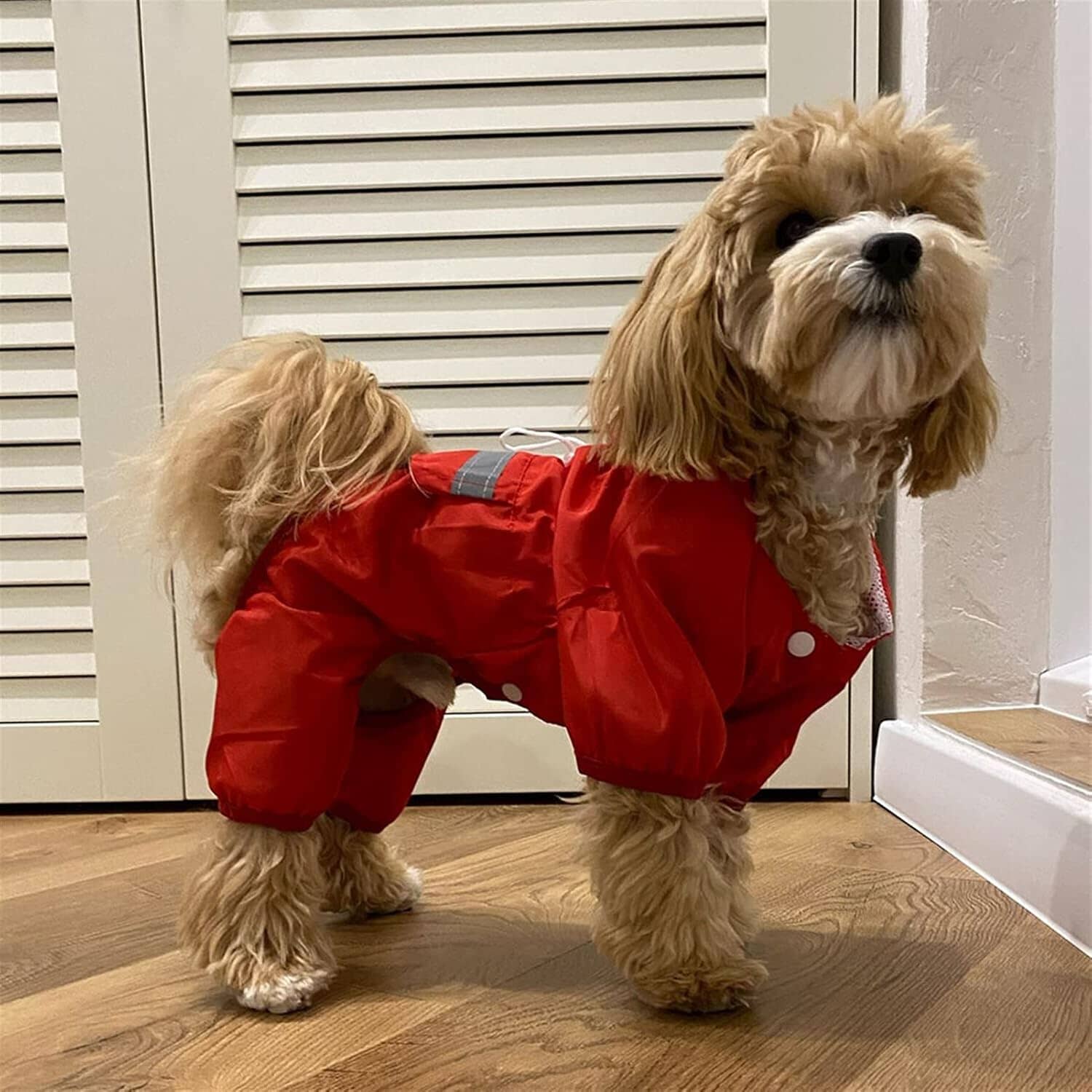 Manteau pour Chien - DogWaterproofCoat™ - Rouge - Bob et Compagnie