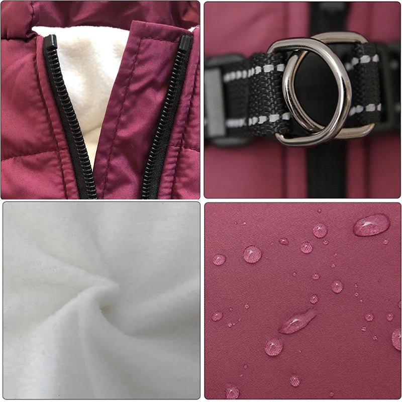 Manteau pour chien | snowdog - Bob et Compagnie