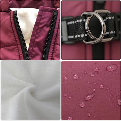 Manteau pour chien | snowdog - Bob et Compagnie