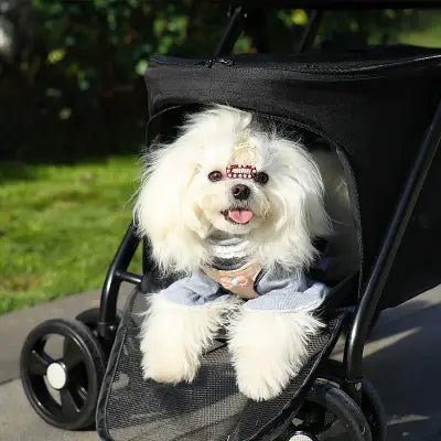 Poussette pour Chien - PetStroller™ - Noir - Bob et Compagnie