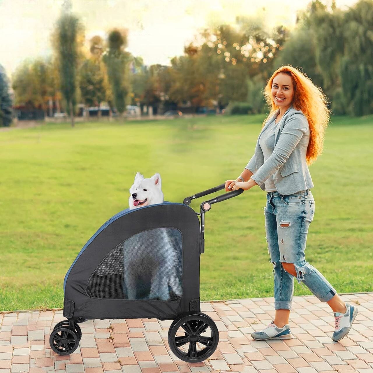 Poussette pour Chien - StrollyPet™ - Bleu - Bob et Compagnie