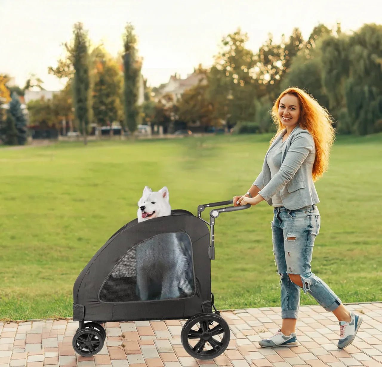 Poussette pour Chien - StrollyPet™ - Noir - Bob et Compagnie